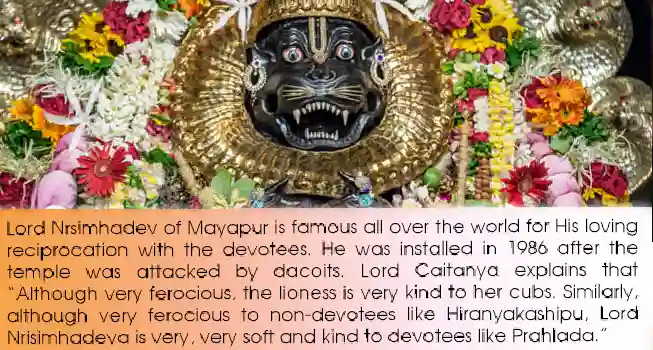 Lord Narsimha Jayanti Puja03