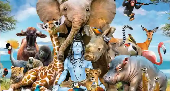 Lord Pashupati Puja01