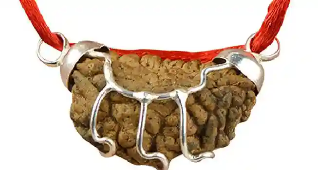 One (1) Mukhi Rudraksha01