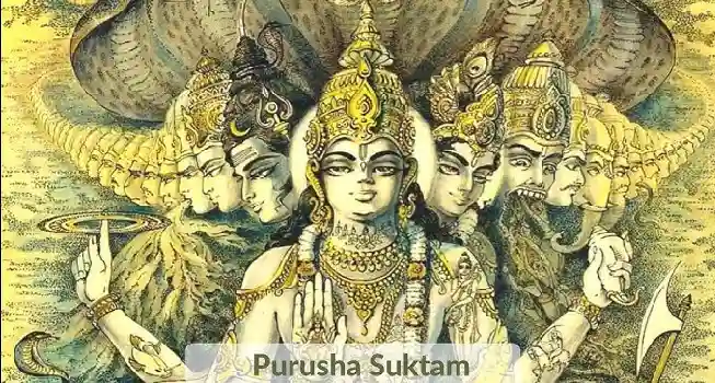 Purusha Sookta Homam03