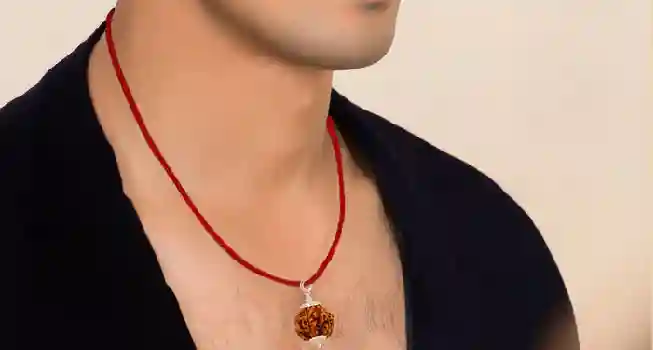 Seven (7) Mukhi Rudraksha04