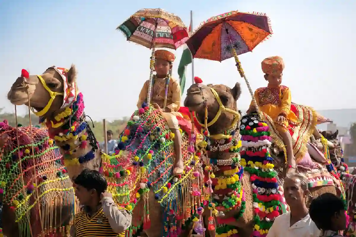 Pushkar01